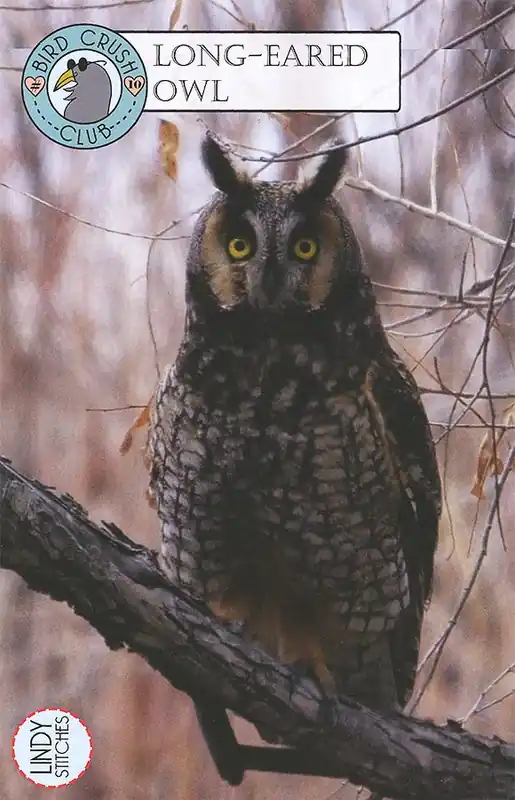 Brand New Long Eared Owl Bird Crush Club Cross Stitch Pattern | Lindy Stitches