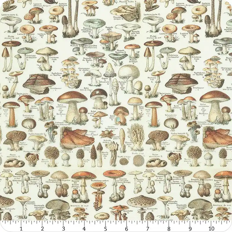 Buy Direct Eclectic Elements Palette Orange Toadstools Yardage | SKU# PWTH236-ORANGE