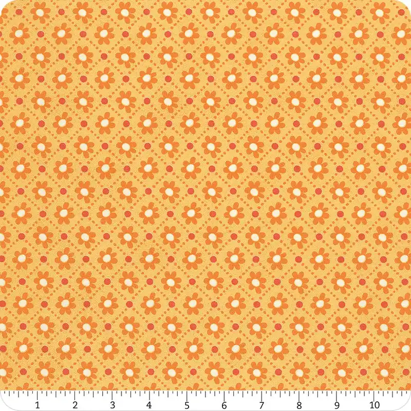 Sunday Brunch Mimosa Pastry Yardage | SKU# 30754-15 Don’t Miss Out