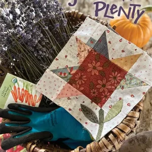Buy Online Good and Plenty Quilt Book | One Sister #OS25