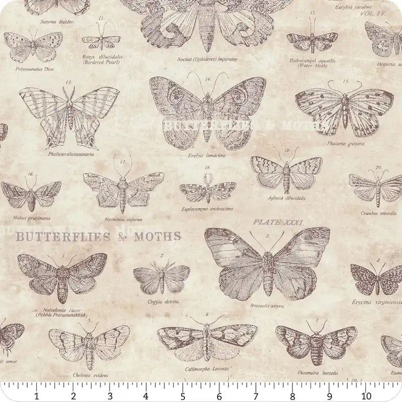 Flash Sale Eclectic Elements Monochrome Parchment Butterflies Yardage | SKU# PWTH004-PARCHMENT